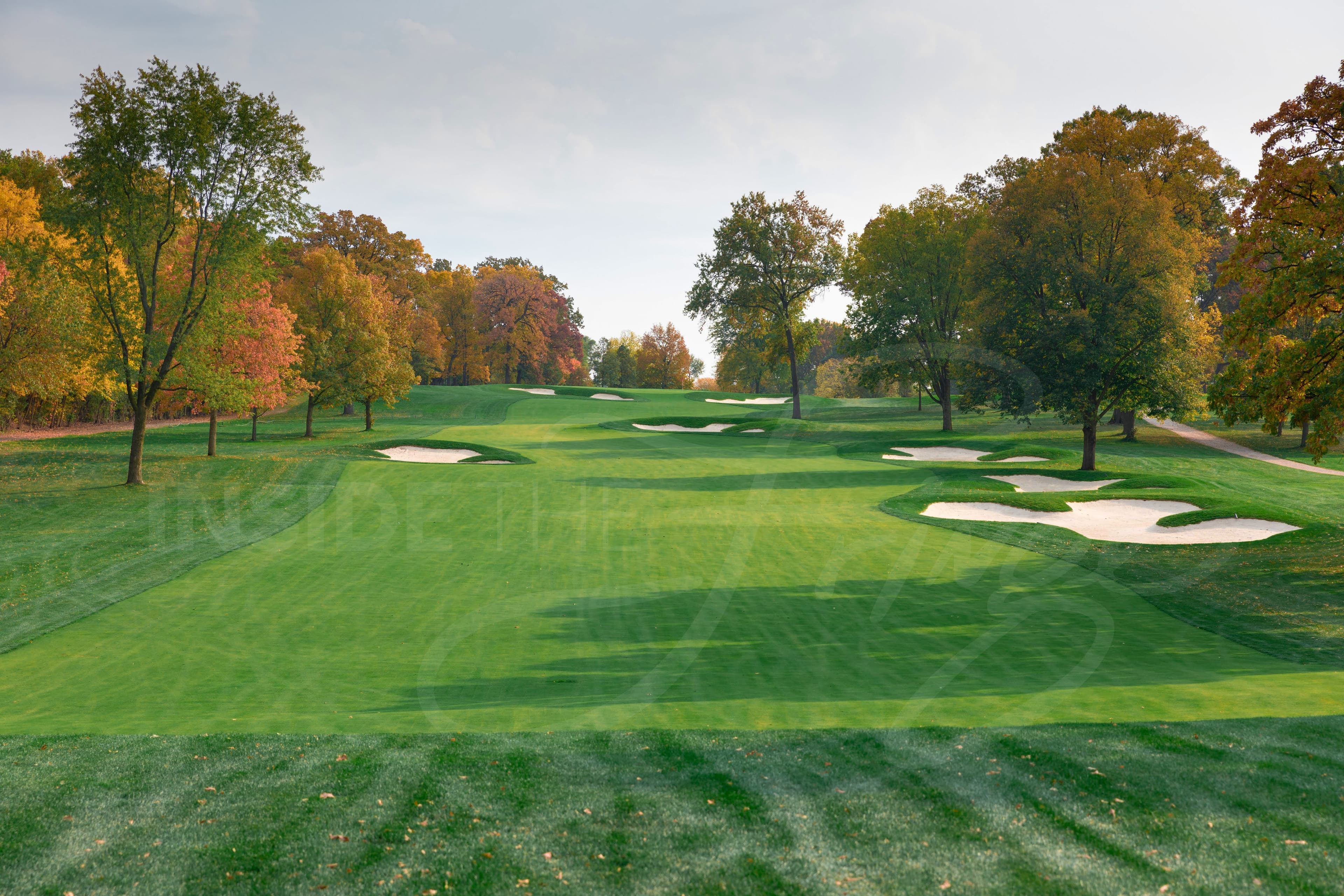 Fairway bunkers in autumn — Medinah Country Club, Course #3