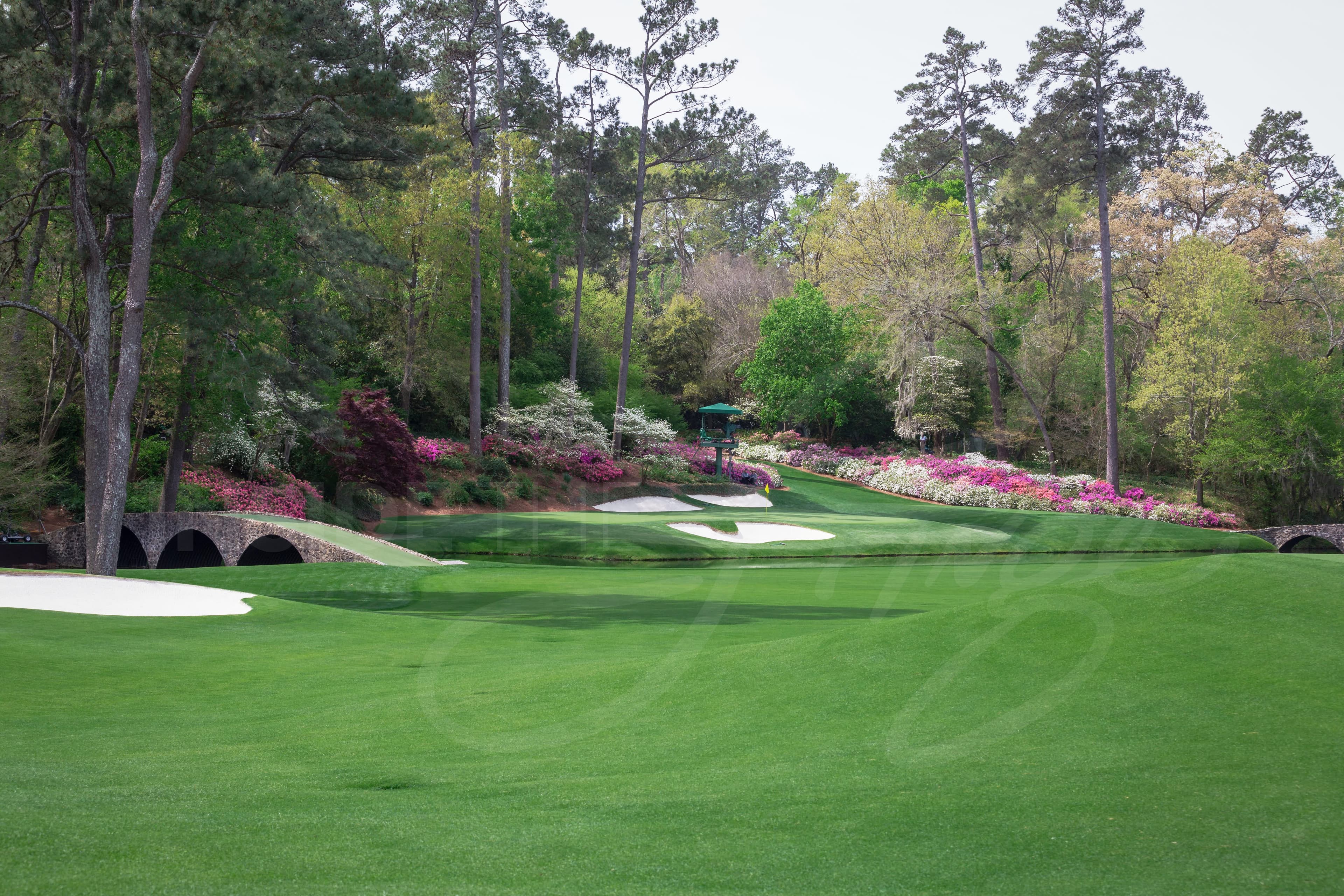 12th hole in bloom — Augusta National Golf Club